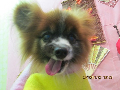 ファイル 5471-1.jpg