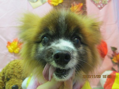 ファイル 5471-2.jpg