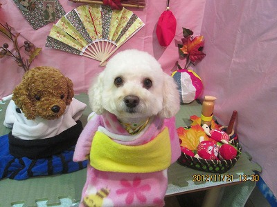 ファイル 5472-1.jpg