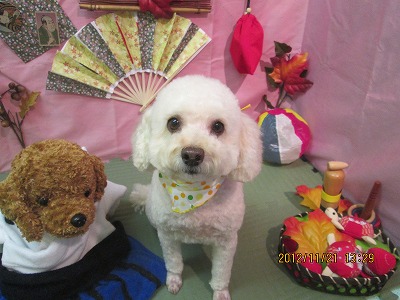 ファイル 5472-2.jpg