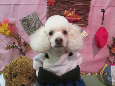 ファイル 5473-1.jpg