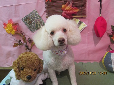 ファイル 5473-2.jpg