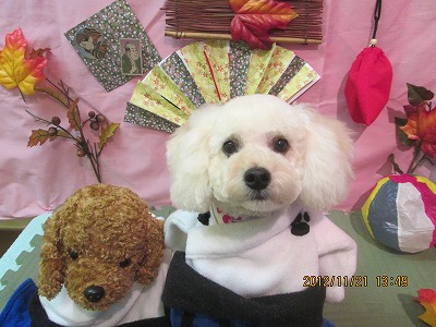 ファイル 5474-1.jpg