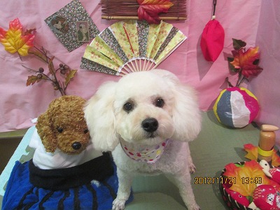 ファイル 5474-2.jpg