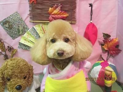 ファイル 5475-1.jpg