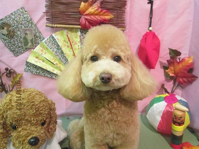 ファイル 5475-2.jpg