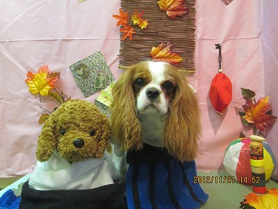 ファイル 5476-1.jpg