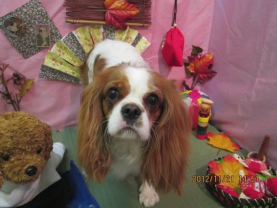 ファイル 5476-2.jpg