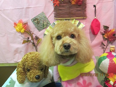 ファイル 5477-1.jpg