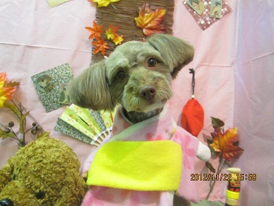 ファイル 5478-1.jpg