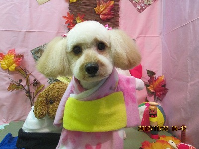 ファイル 5479-1.jpg