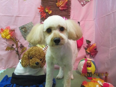 ファイル 5479-2.jpg