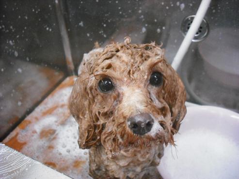 ファイル 548-2.jpg