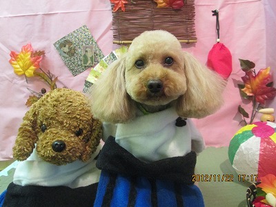 ファイル 5480-1.jpg