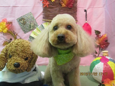 ファイル 5480-2.jpg