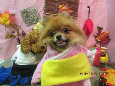 ファイル 5481-1.jpg