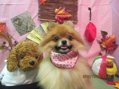 ファイル 5481-2.jpg