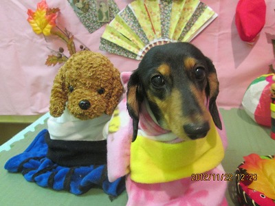 ファイル 5482-1.jpg