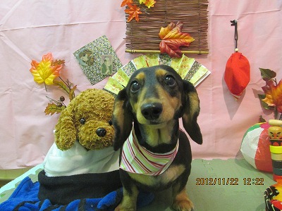 ファイル 5482-2.jpg