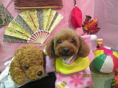 ファイル 5483-1.jpg