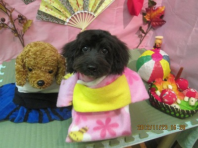 ファイル 5484-1.jpg