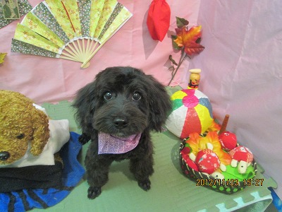 ファイル 5484-2.jpg