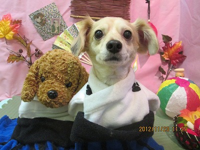 ファイル 5485-1.jpg