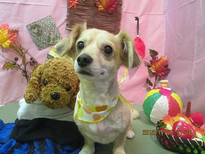 ファイル 5485-2.jpg