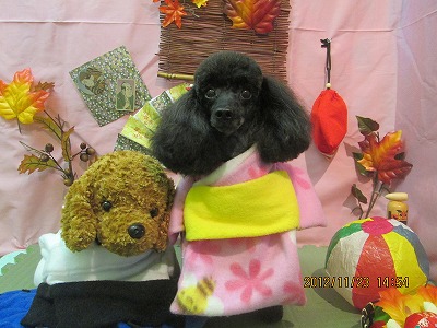 ファイル 5486-1.jpg