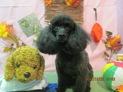 ファイル 5486-2.jpg