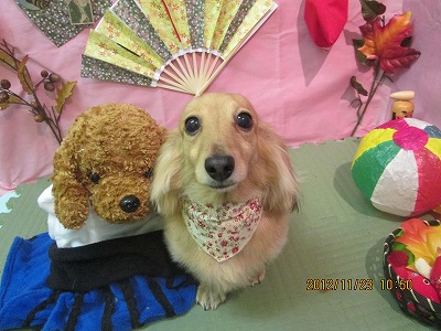 ファイル 5487-2.jpg