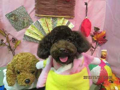 ファイル 5488-1.jpg