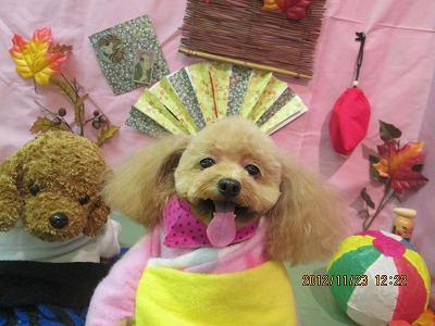 ファイル 5489-1.jpg