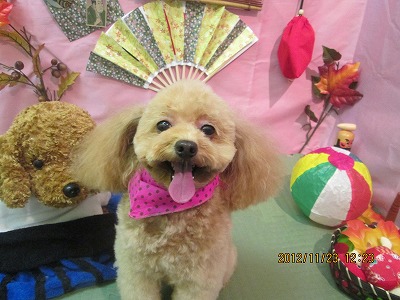 ファイル 5489-2.jpg