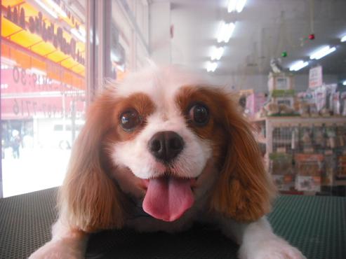 ファイル 549-1.jpg