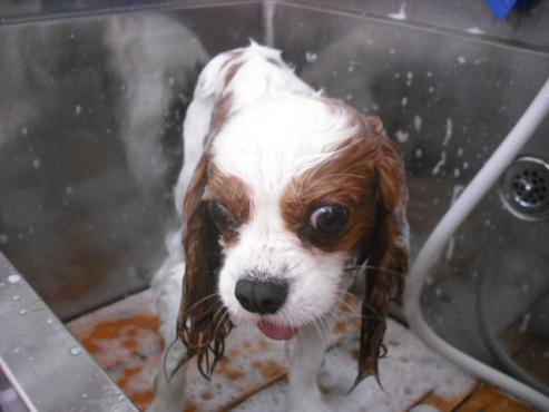 ファイル 549-2.jpg