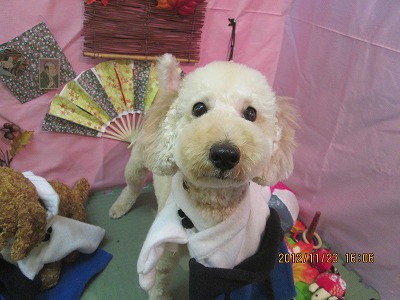 ファイル 5490-1.jpg