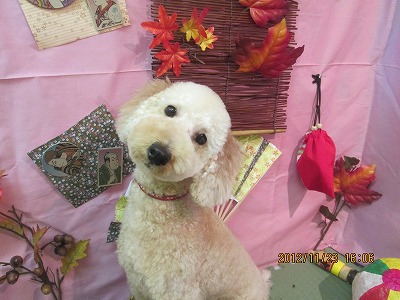 ファイル 5490-2.jpg