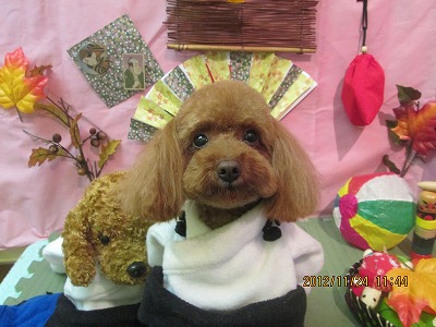 ファイル 5491-1.jpg