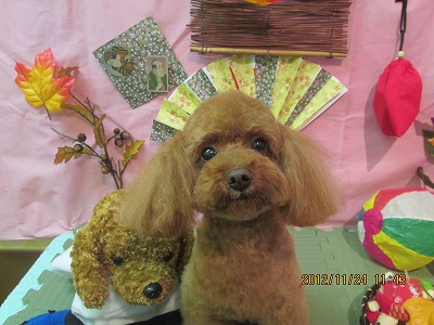 ファイル 5491-2.jpg