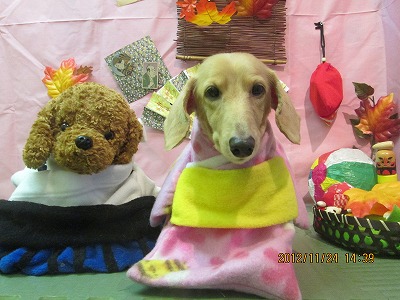 ファイル 5492-1.jpg