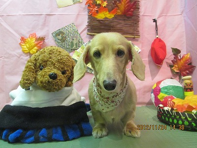 ファイル 5492-2.jpg