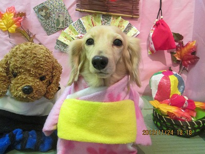 ファイル 5493-1.jpg