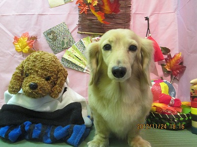 ファイル 5493-2.jpg