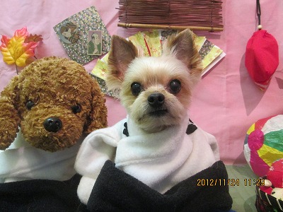 ファイル 5494-1.jpg