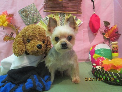 ファイル 5494-2.jpg