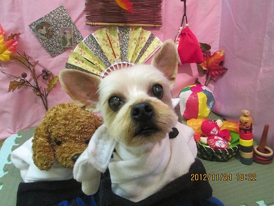 ファイル 5495-1.jpg