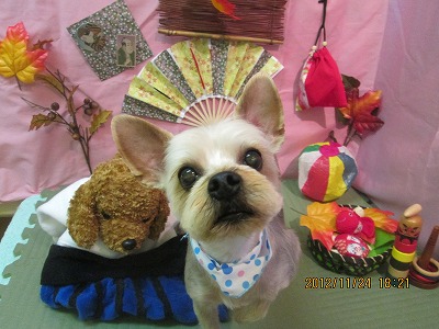 ファイル 5495-2.jpg