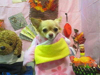 ファイル 5496-1.jpg