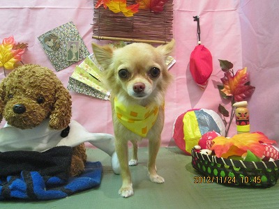 ファイル 5496-2.jpg